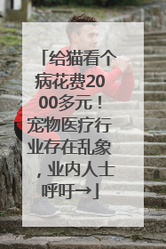 给猫看个病花费2000多元！宠物医疗行业存在乱象，业内人士呼吁→