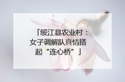 绥江县农业村：女子调解队真情搭起“连心桥”