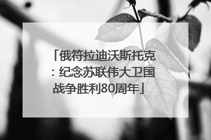 俄符拉迪沃斯托克：纪念苏联伟大卫国战争胜利80周年