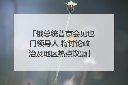 俄总统普京会见也门领导人 将讨论政治及地区热点议题