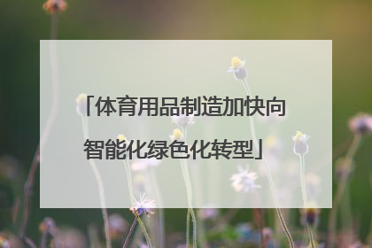 体育用品制造加快向智能化绿色化转型