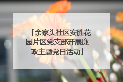 余家头社区安胜花园片区党支部开展廉政主题党日活动