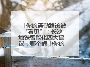 你的通勤路该被 “看见”：长沙地铁智能化四大建议，哪个戳中你的出行痛点？