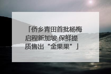 侨乡青田首批杨梅启程新加坡 保鲜提质售出“金果果”