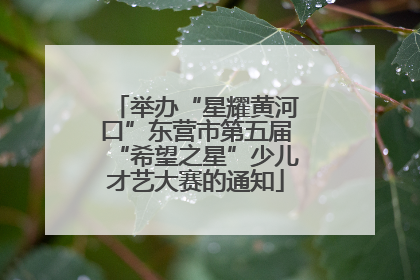 举办“星耀黄河口”东营市第五届“希望之星”少儿才艺大赛的通知