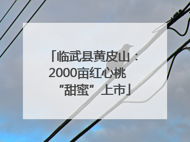 临武县黄皮山：2000亩红心桃“甜蜜”上市