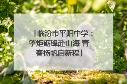 临汾市平阳中学：擎炬砺锋赴山海 青春扬帆启新程