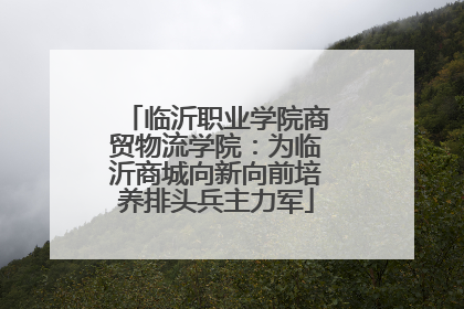 临沂职业学院商贸物流学院：为临沂商城向新向前培养排头兵主力军