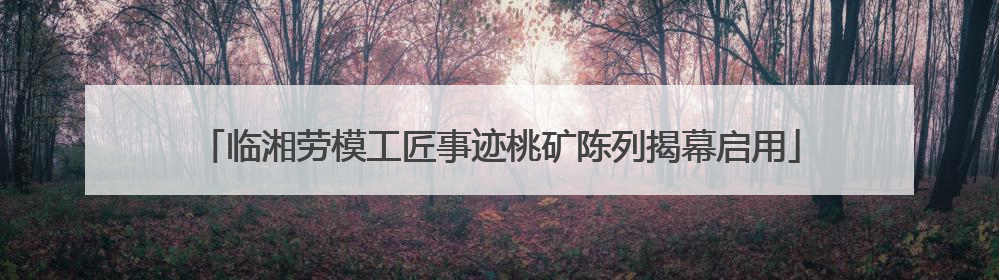 临湘劳模工匠事迹桃矿陈列揭幕启用