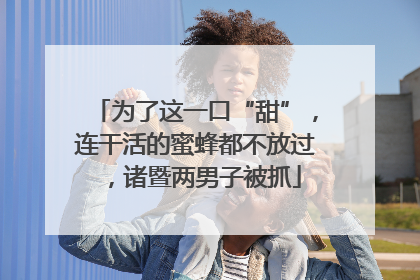 为了这一口“甜”，连干活的蜜蜂都不放过，诸暨两男子被抓