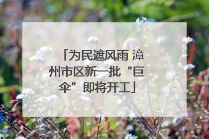 为民遮风雨 漳州市区新一批“巨伞”即将开工