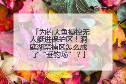 为钓大鱼操控无人艇进保护区！洞庭湖禁捕区怎么成了“垂钓场”？