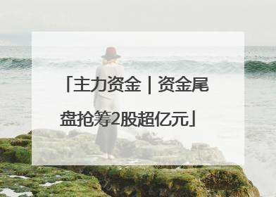 主力资金｜资金尾盘抢筹2股超亿元