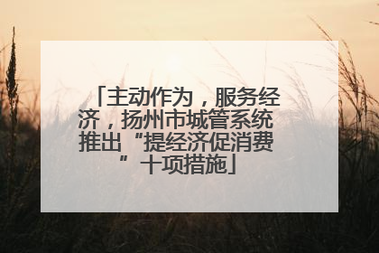 主动作为，服务经济，扬州市城管系统推出“提经济促消费”十项措施