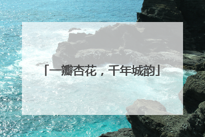 一瓣杏花，千年城韵