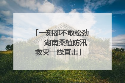 一刻都不敢松劲——湖南桑植防汛救灾一线直击
