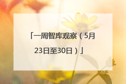 一周智库观察（5月23日至30日）