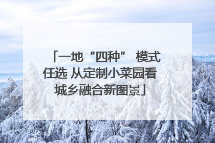 一地“四种” 模式任选 从定制小菜园看城乡融合新图景