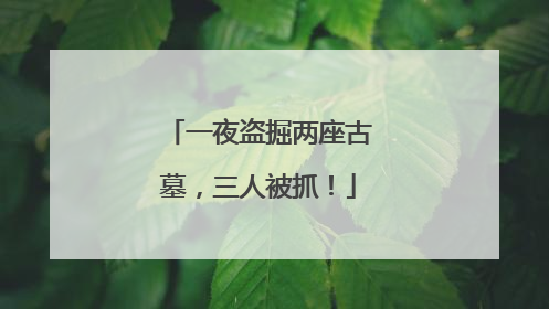 一夜盗掘两座古墓，三人被抓！