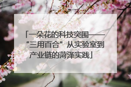 一朵花的科技突围——“三用百合”从实验室到产业链的菏泽实践