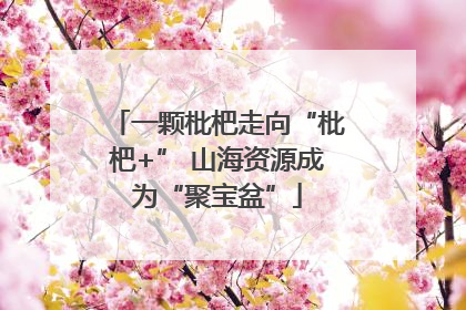 一颗枇杷走向“枇杷+” 山海资源成为“聚宝盆”