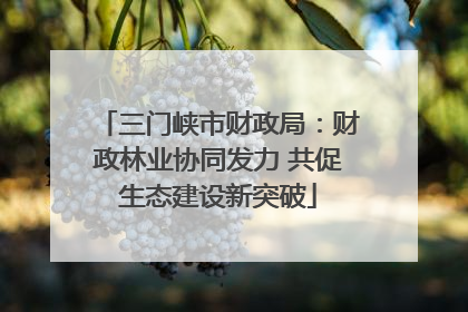 三门峡市财政局：财政林业协同发力 共促生态建设新突破