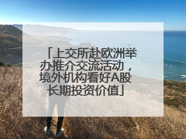 上交所赴欧洲举办推介交流活动，境外机构看好A股长期投资价值