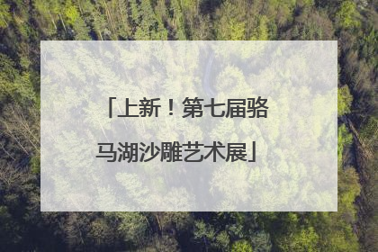 上新！第七届骆马湖沙雕艺术展