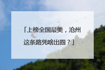 上榜全国最美，沧州这条路凭啥出圈？