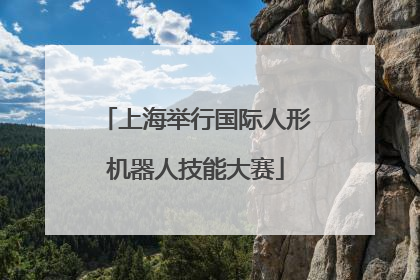 上海举行国际人形机器人技能大赛