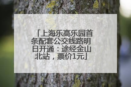 上海乐高乐园首条配套公交线路明日开通：途经金山北站，票价1元