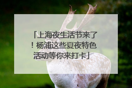 上海夜生活节来了！杨浦这些夏夜特色活动等你来打卡