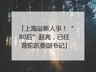 上海最新人事！“80后”赵亮，已任普陀区委副书记