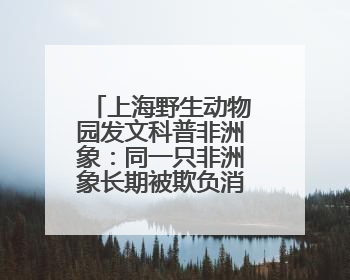 上海野生动物园发文科普非洲象：同一只非洲象长期被欺负消息不实