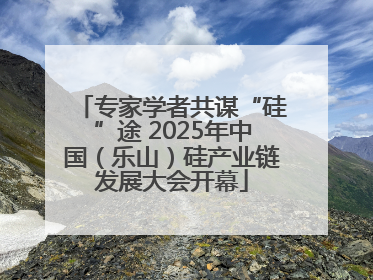专家学者共谋“硅”途 2025年中国（乐山）硅产业链发展大会开幕