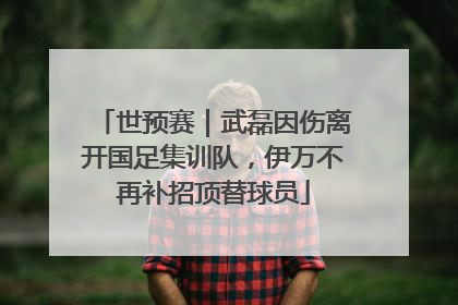 世预赛｜武磊因伤离开国足集训队，伊万不再补招顶替球员