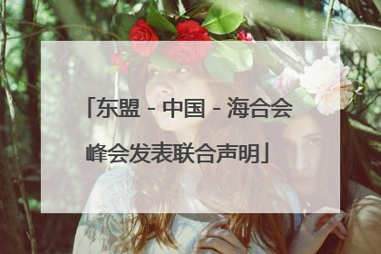 东盟－中国－海合会峰会发表联合声明