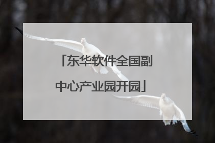 东华软件全国副中心产业园开园