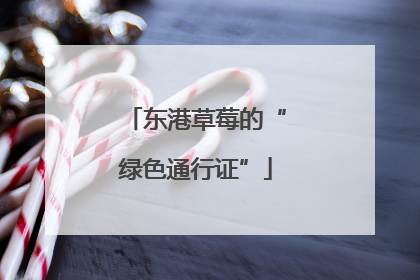东港草莓的“绿色通行证”
