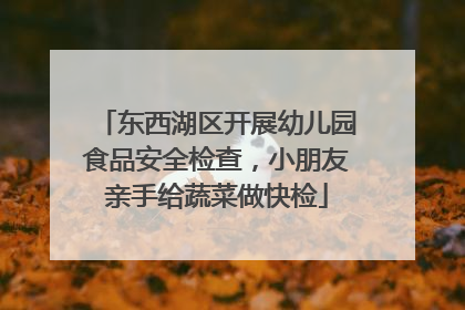 东西湖区开展幼儿园食品安全检查，小朋友亲手给蔬菜做快检