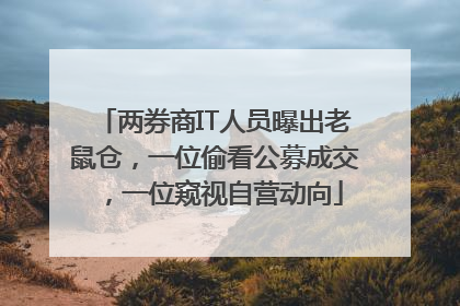 两券商IT人员曝出老鼠仓，一位偷看公募成交，一位窥视自营动向