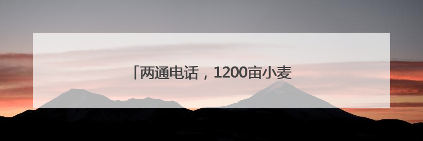 两通电话，1200亩小麦一站式收储（三夏进行时）