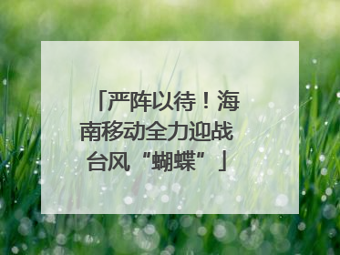 严阵以待！海南移动全力迎战台风“蝴蝶”