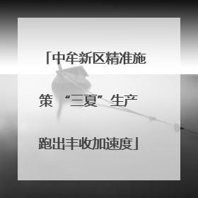 中牟新区精准施策 “三夏”生产跑出丰收加速度