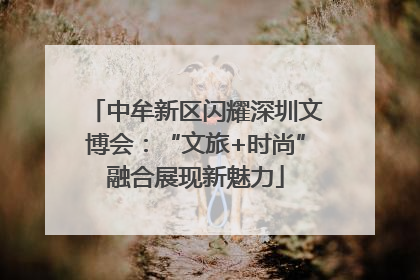 中牟新区闪耀深圳文博会：“文旅+时尚”融合展现新魅力