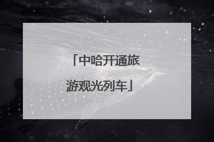 中哈开通旅游观光列车