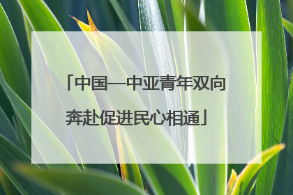 中国—中亚青年双向奔赴促进民心相通