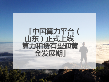 中国算力平台（山东）正式上线 算力租赁有望迎黄金发展期