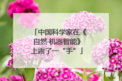 中国科学家在《自然·机器智能》上露了一“手”