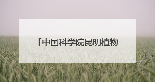 中国科学院昆明植物研究所和深圳兰科中心联合科考取得重要成果 在神农架发现两种“国保”级兰花